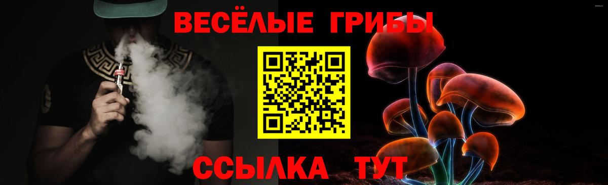 Галлюциногенные грибы Magic Shrooms  Вход с VPN  Александров 